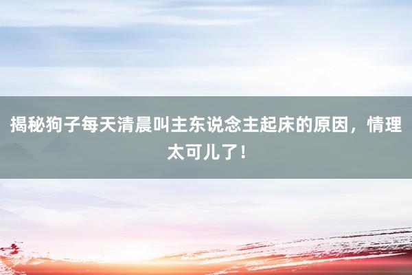 揭秘狗子每天清晨叫主东说念主起床的原因，情理太可儿了！