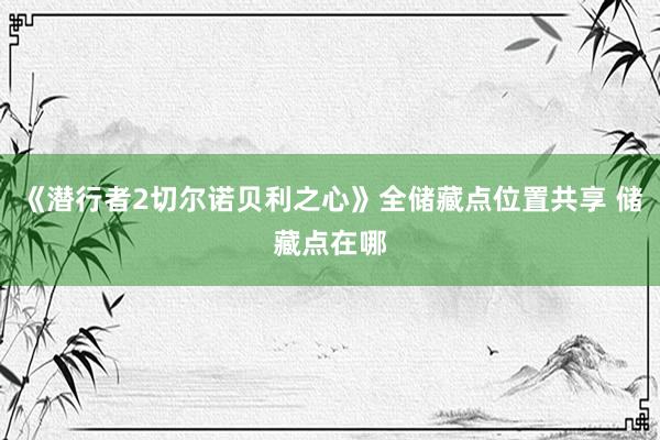 《潜行者2切尔诺贝利之心》全储藏点位置共享 储藏点在哪