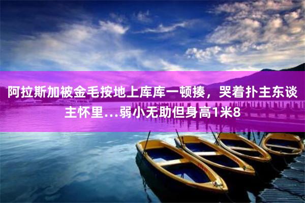 阿拉斯加被金毛按地上库库一顿揍，哭着扑主东谈主怀里…弱小无助但身高1米8