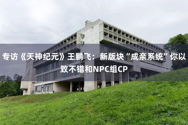 专访《天神纪元》王鹏飞：新版块“成亲系统”你以致不错和NPC组CP